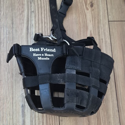 Best friend have heart - have, a