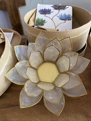 White shell lotus tea - shell,