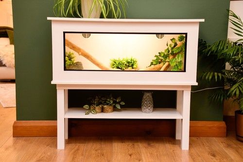 Modern white reptile - modern,