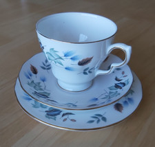 Vintage COLCLOUGH bone china