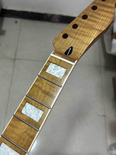 Diy 22fret roasted - diy,