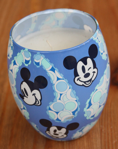Walt disney world parks - parks, mickey