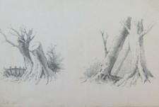 Antique Pencil Drawing On