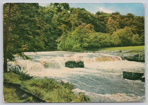 C45527 aysgarth falls - ,