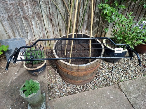 Guardsman dog guard - guardsman,