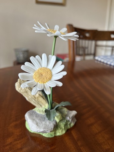 Boehm porcelain eye daisy - porcelain,