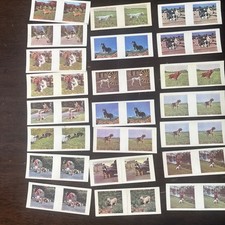 Working Dog Cards Presented
