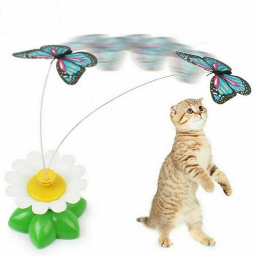 Fun pet electric rotating - fun,