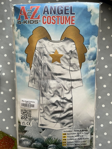 Nativity boys angel costume - angel,