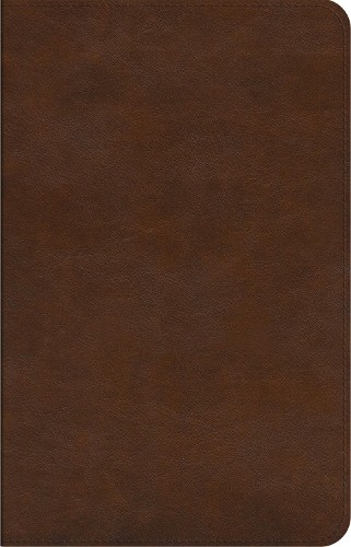 Esv concise study bible - esv,