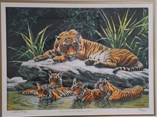 Tiger with Cubs, "Beneath The