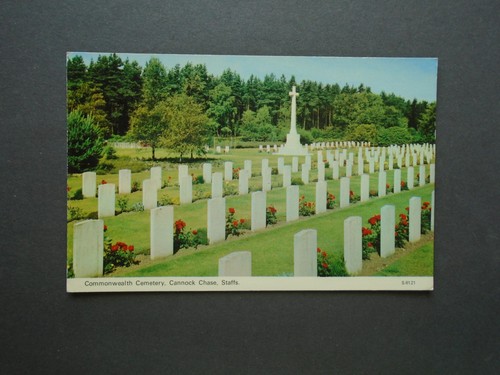 Staffordshire view of the - a,