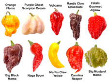 Worlds HOTTEST Chilli - 40