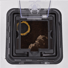 Invertarium Setup - Perfect Tarantula Enclosure with Substrate, Hide and Bowl
