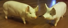 Beswick  Pigs - Sow "Ch Wall Queen 40" & Pig "Wall Champion Boy 53" (SOW A/F)