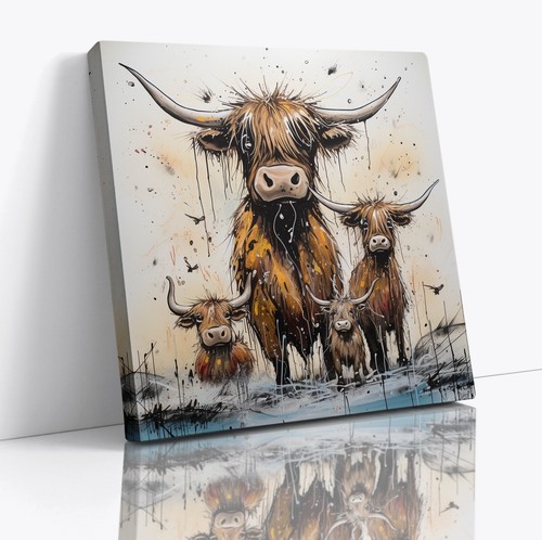 Funny highland cows - highland,