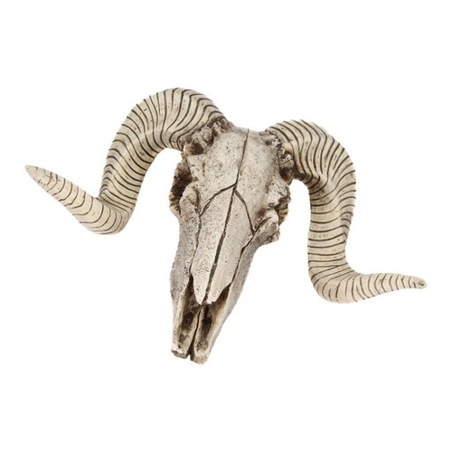 Ram skull with horns - ram,