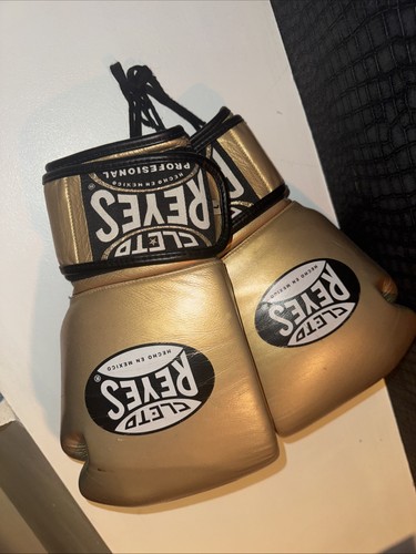 Cleto reyes adult boxing - adult,