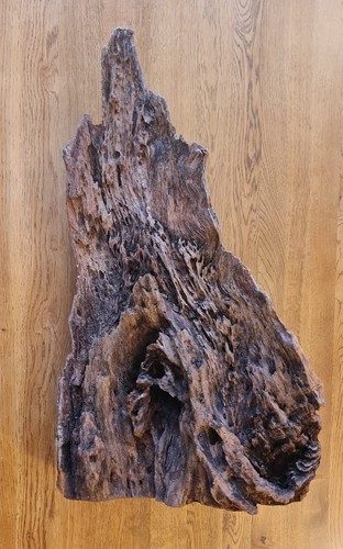 Xxl piece reptile - xxl, driftwood