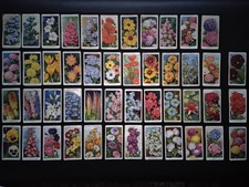 Garden Flowers Cigarette Cards