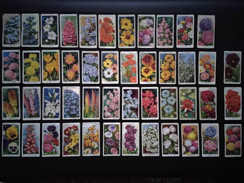 Garden flowers cigarette cards - garden,