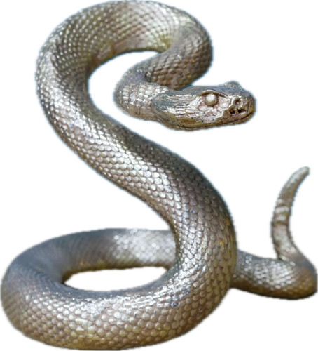 Exotic coiled gold snake - gold, |