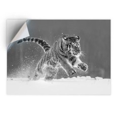 1 x Vinyl Sticker A5 - BW -