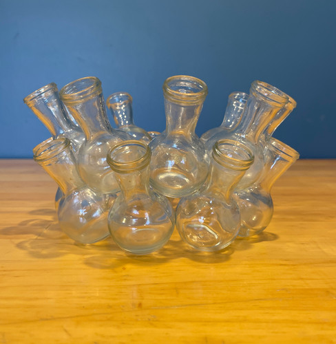 Glass plant propagation - glass,