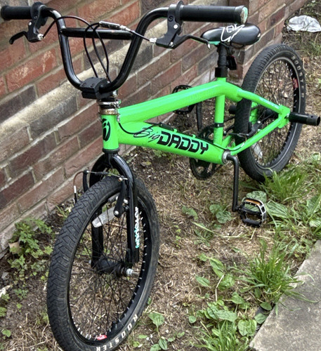 Rooster big daddy 20in - rooster,