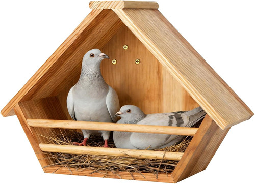 Cedar mourning dove - cedar,