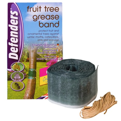 Defenders fruit tree - fruit, grease