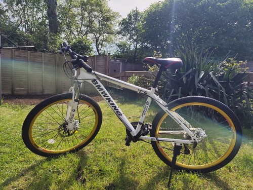 Mountain bike bmw - mountain,