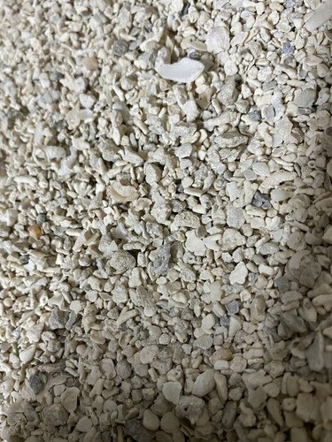 Coral gravel cichlid malawi - gravel,