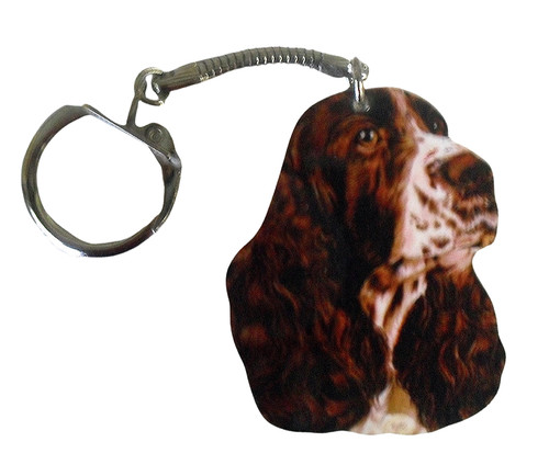 English springer spaniel - english,