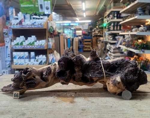 Large 54cm mopani wood - large,