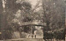 Antique Edwardian Postcard The