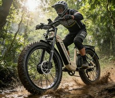 Dual Motor 26" Fat Tyre