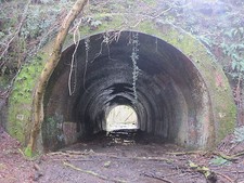 SHEFFIELD PARK TO LEWES