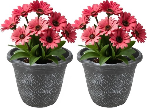 Rustic flower plant - 2, pots