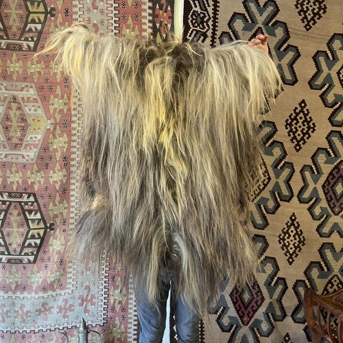 Natural angora goat skin rug - goat,
