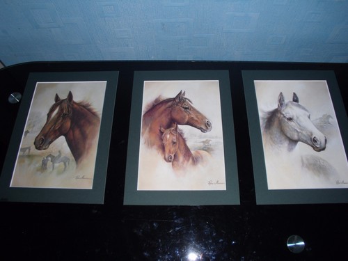 Ruane manning horse prints - ruane,