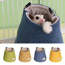 Sugar Glider Pouch Squirrel