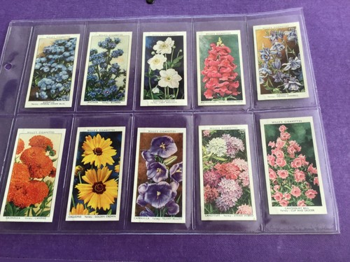 Garden flowers full set of - garden,