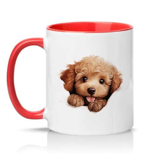 Cute peeking poodle dog - peeking, unisex