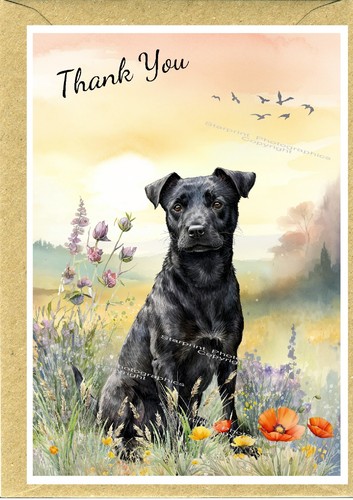 Patterdale terrier dog - patterdale, thank