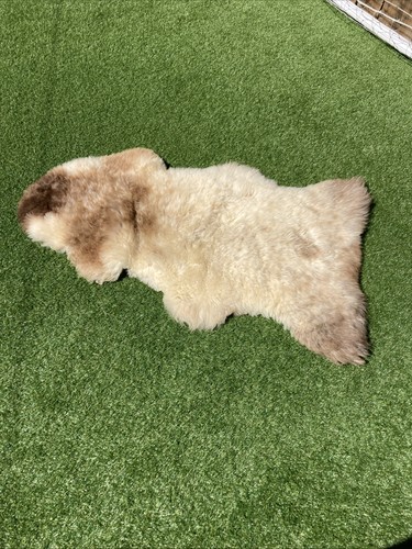 Rare breed genuine british - rare,