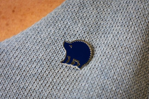 Rspca hedgehog metal pin badge - rspca,