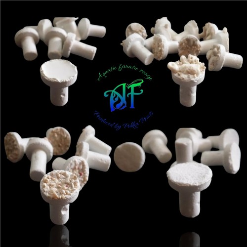Coral frag plugs marine reef