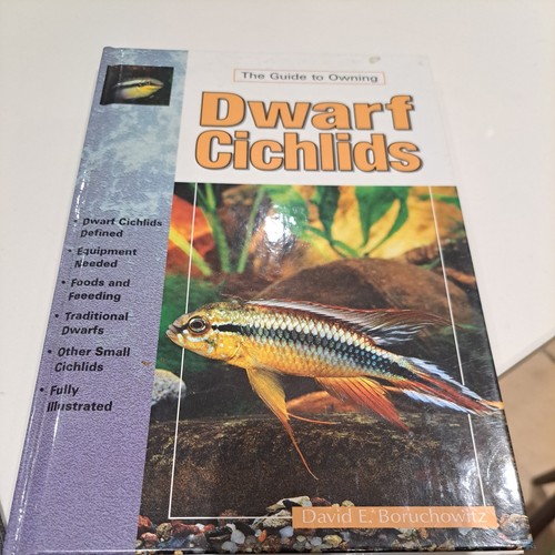 Dwarf cichlids the - dwarf, cichlids,