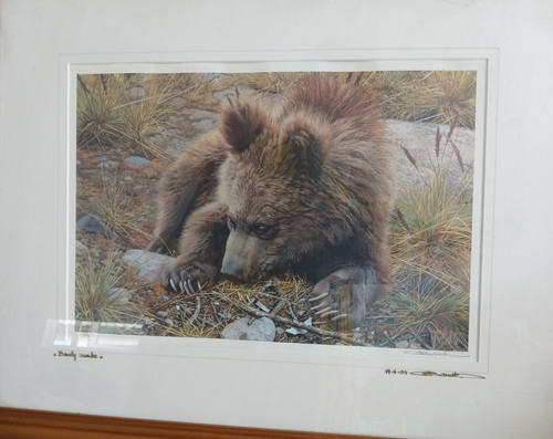 Carl brenders bearly awake - bearly,